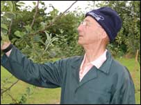 Gordon Hazel