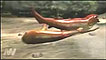 Placodermo (foto: NHM)