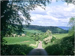 Golden Valley