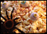 Frightful Food.
