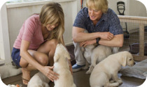 Marley & Me