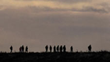 black_grouse_walk226.jpg