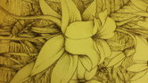 Flower extract...