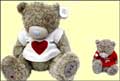 Two teddy Bears