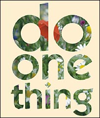 "Do one thing..."