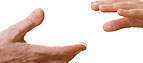 hands