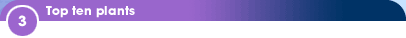3 - Top ten plants