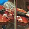 violin