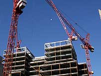 Cranes