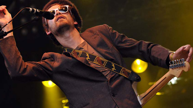 Guillemots