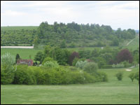 Fields