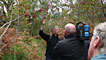 Derek chats about the berries