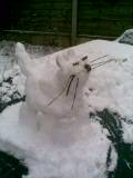 snow cat smaller with whiskers