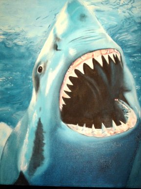 shark