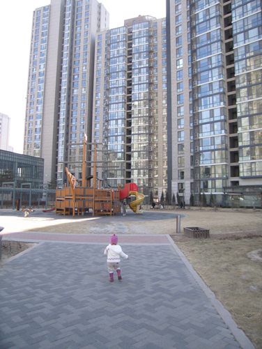 my building