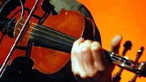 Fiddle