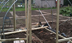 polytunnel