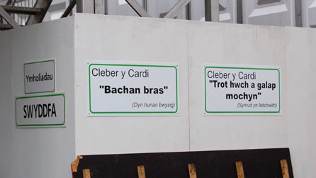 Iaith liwgar