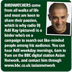 BIRDER.JPG