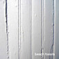 Review of Beach Fossils
