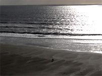 Whitsand Bay by Mike Smales