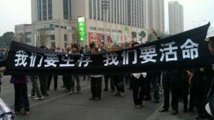 宁波镇海