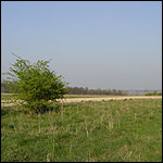 Salisbury Plain
