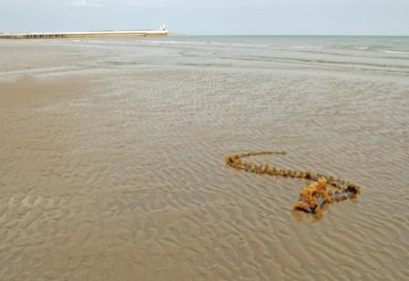 beach12.jpg