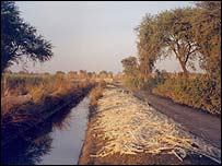 village_nullah.jpg