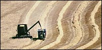 Combine harvester