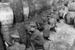 British soldiers at the Easter Rising, Dublin 1916