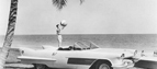 Beach scene