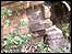 rock formations at Beaumont Park, Huddersfield