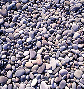 Lunga