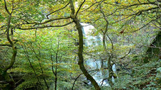 Rhaeadr Melincwrt (llun:Peter Jenkins)