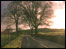 sunset over a field