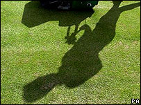 grass_pa203.jpg