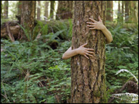 Woodlands