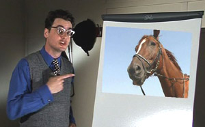 The Teacher and a horse