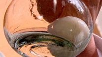 one egg in a bottle