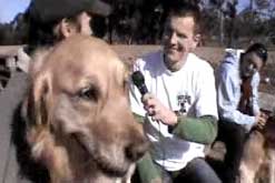 hound-tv.jpg