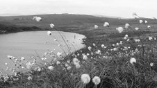 Uilleam MacDhunlèibhe
