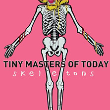 Review of Skeletons