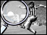 Magnifying glass.
