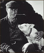 animal1.jpg