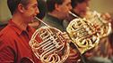 Members of an orchestra