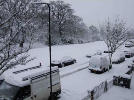 snowy32.JPG