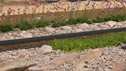 Cancer Research UK Garden