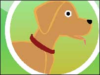 Labrador