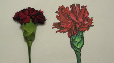 The After and the Before